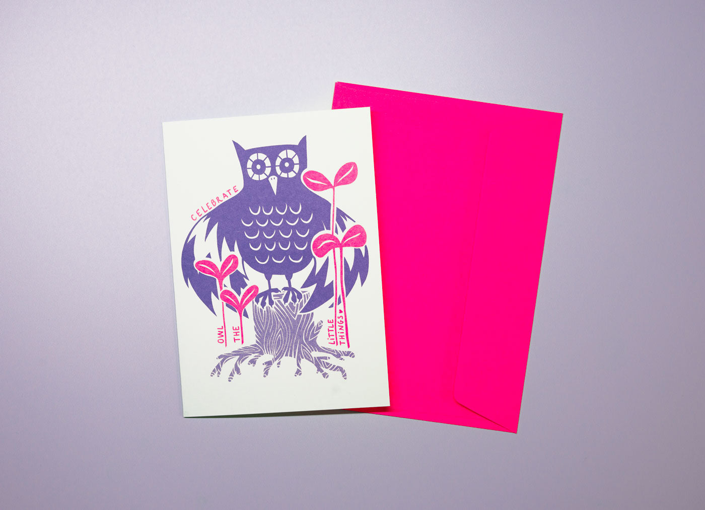 Celebrate owl the little things