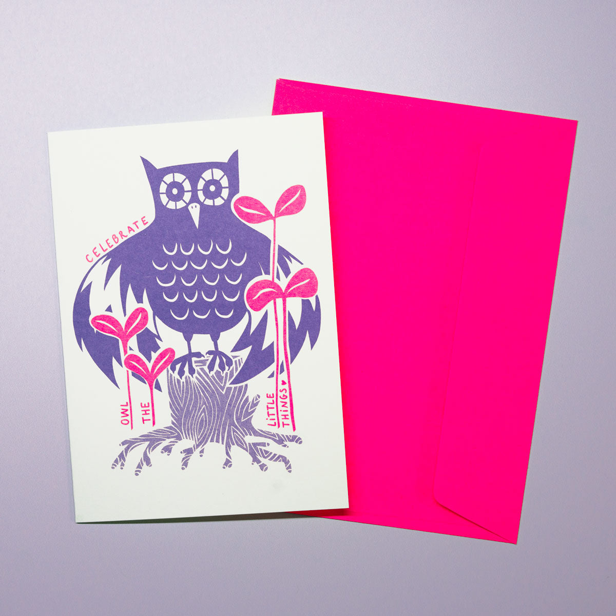 Celebrate owl the little things