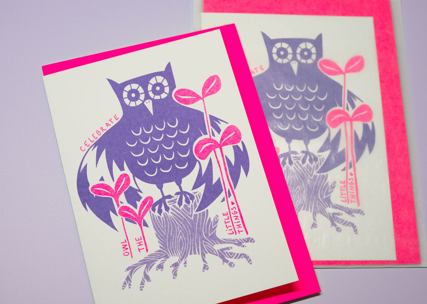 Celebrate owl the little things