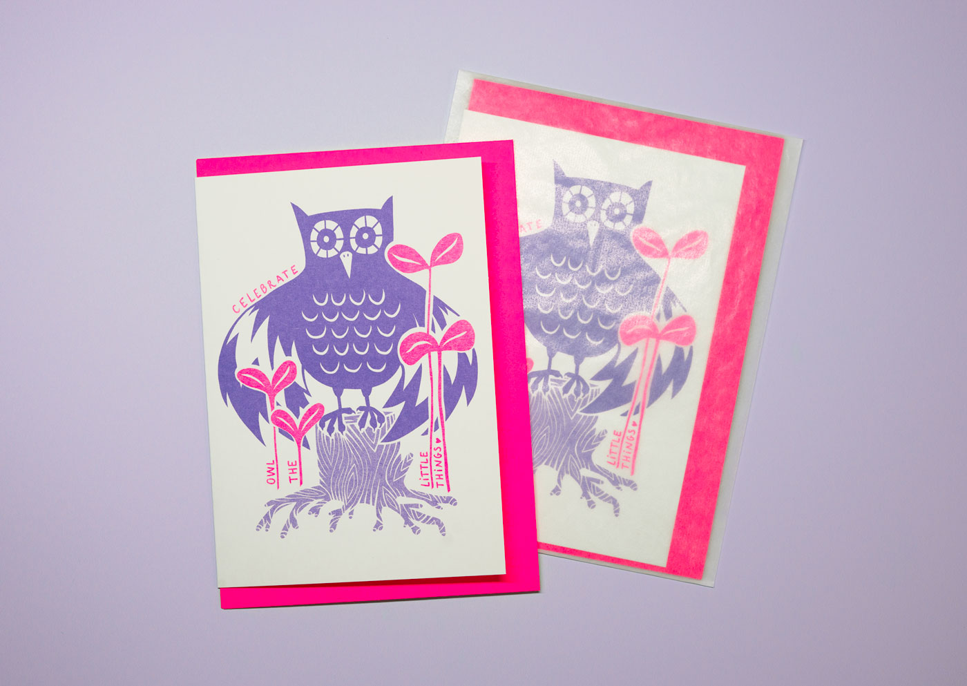 Celebrate owl the little things