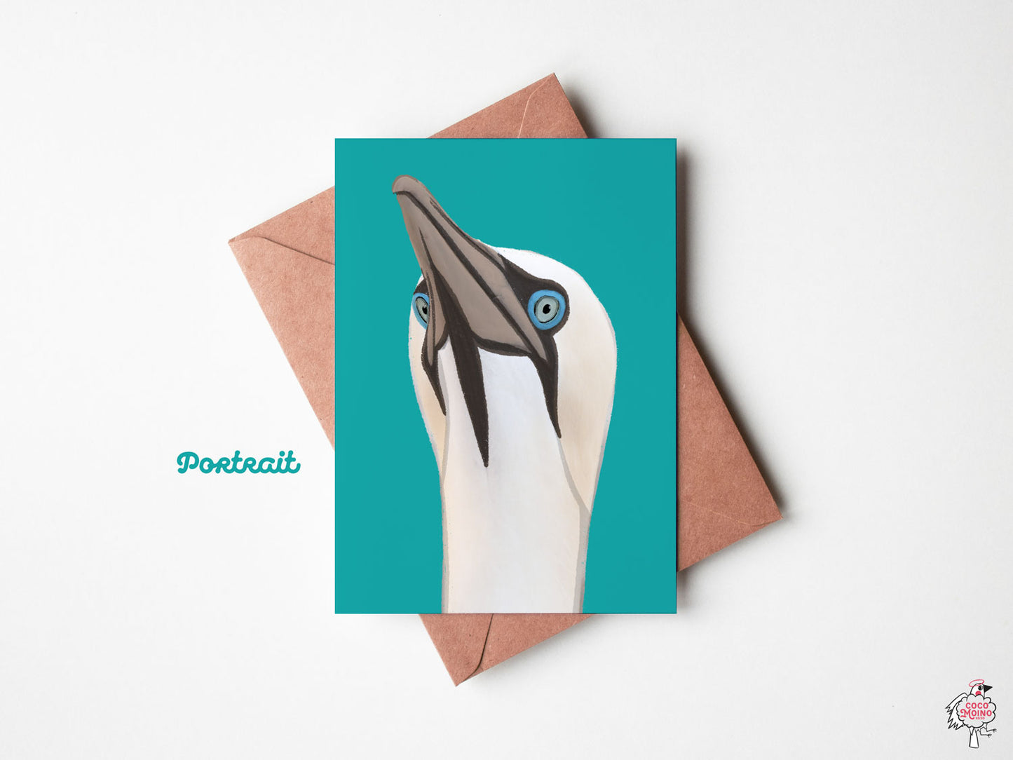 Northern gannets