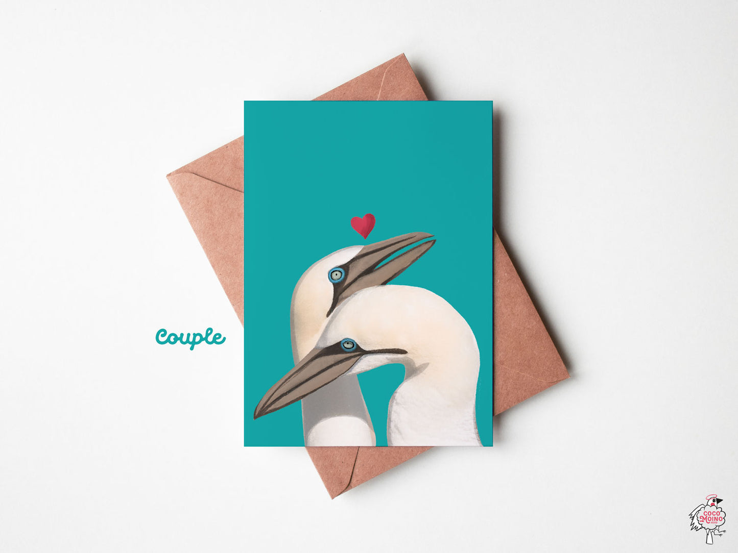 Northern gannets