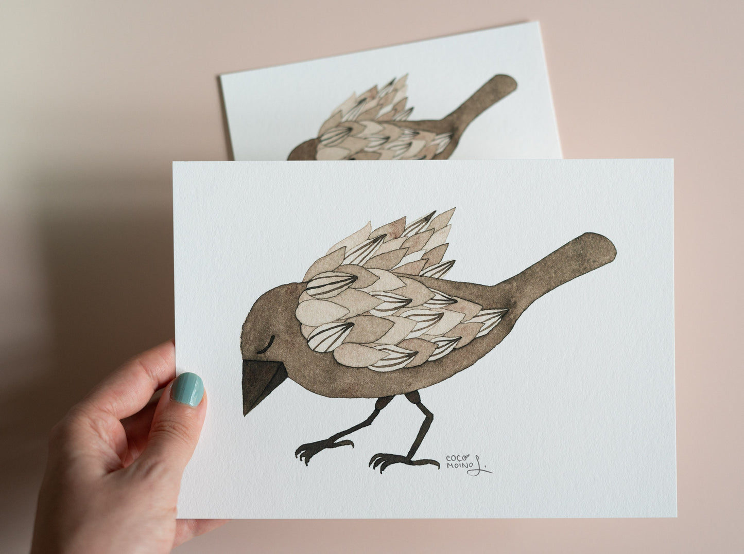 Tranquil Crow