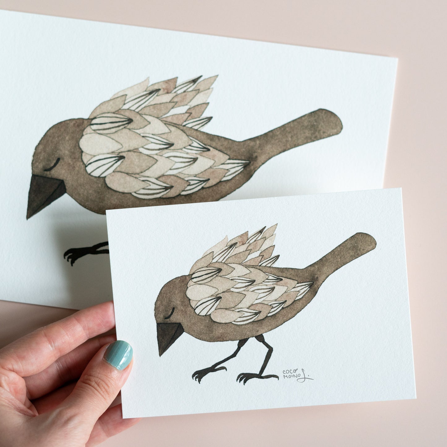 Tranquil Crow