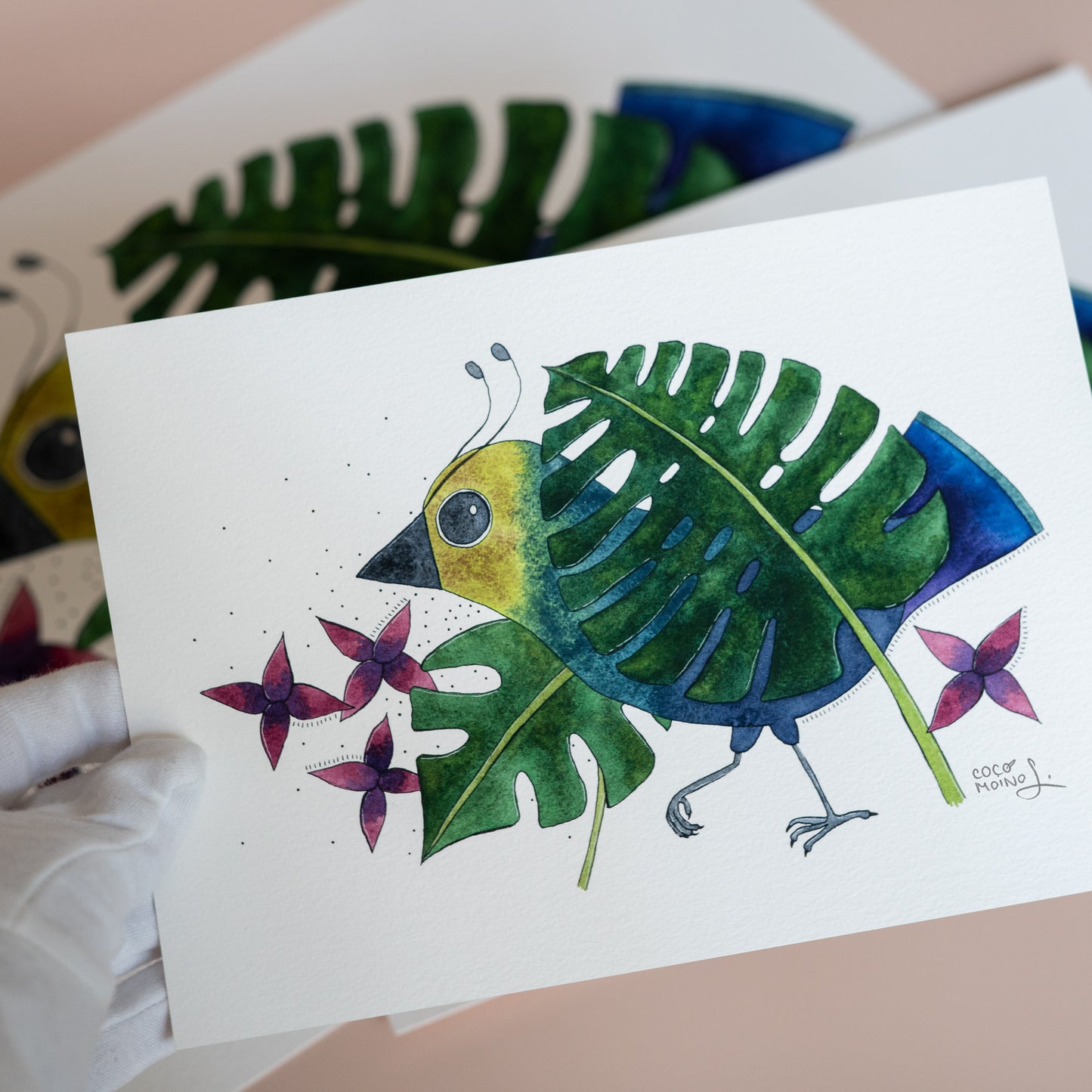 The bird who decided to stop hiding