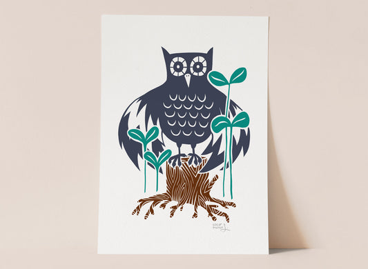 Owl the little things